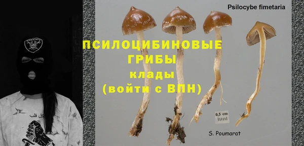 трава Болхов