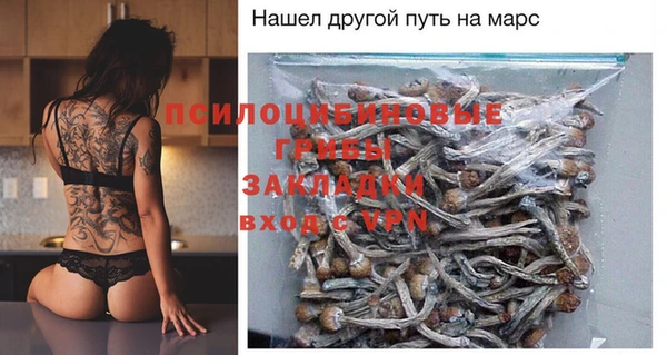 индика Нефтегорск