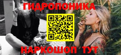 крисы Берёзовский