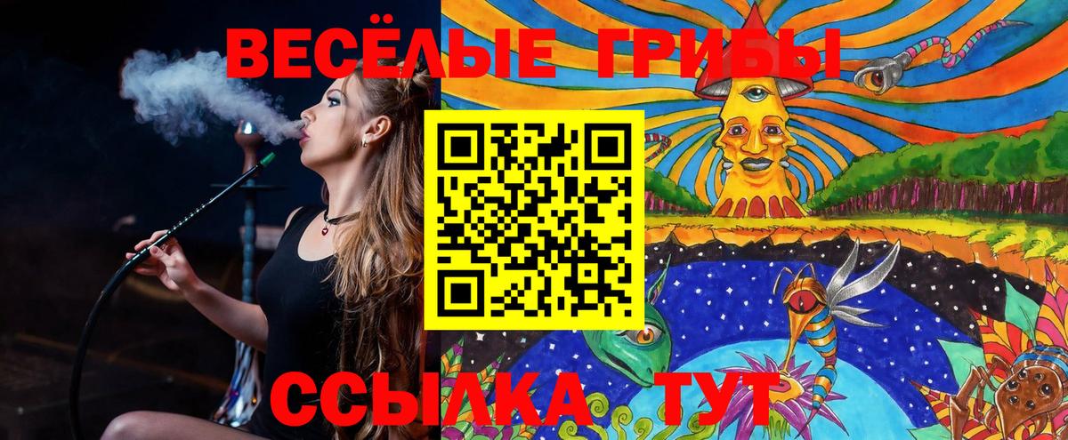 Галлюциногенные грибы Magic Shrooms  Вход с VPN  хочу наркоту  Костомукша  Галлюциногенные грибы прущие грибы 