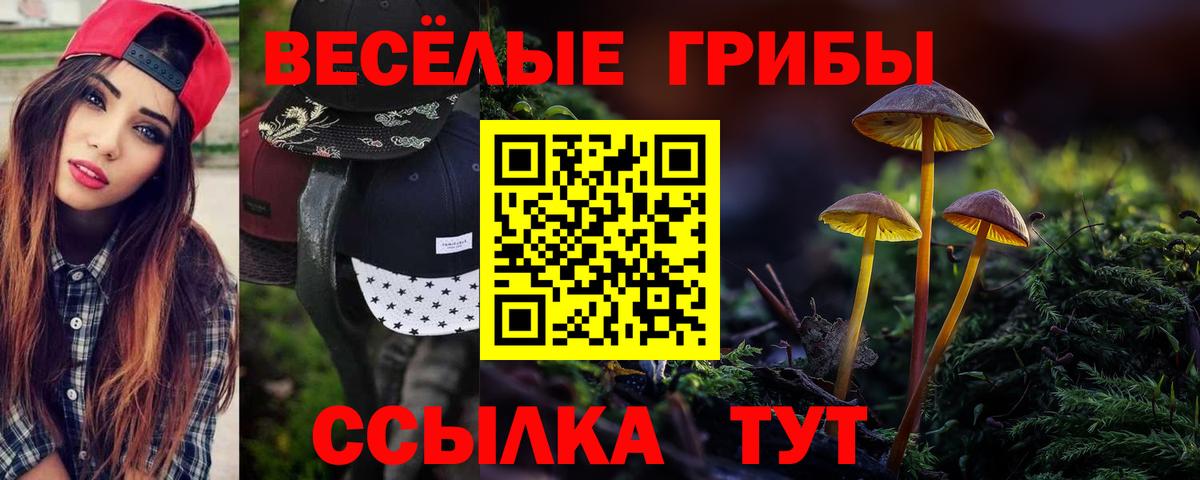 Псилоцибиновые грибы Psilocybine cubensis Костомукша