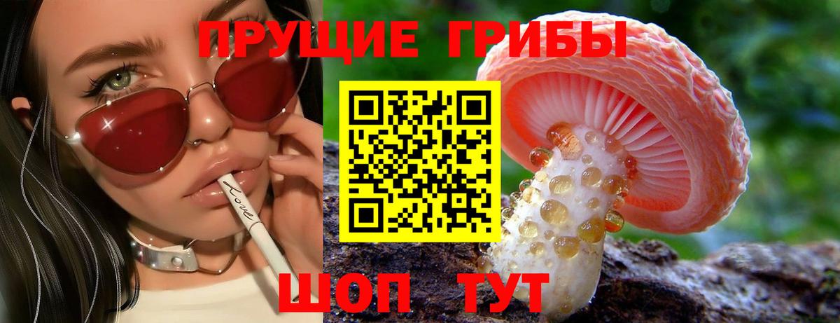Галлюциногенные грибы Psilocybine cubensis  Галлюциногенные грибы прущие грибы  Костомукша 
