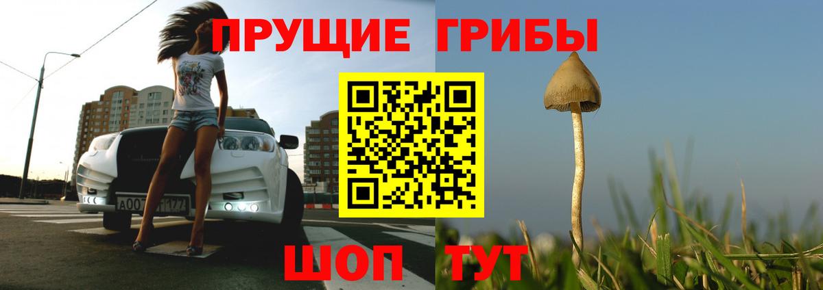 Псилоцибиновые грибы Cubensis Костомукша
